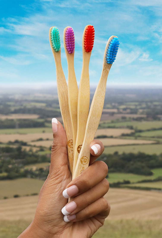 colourful bamboo toothbrushes